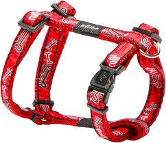Pets One - Wholesale Pet Harness - Dog - Rogz Peitoral Jelly 11mm2