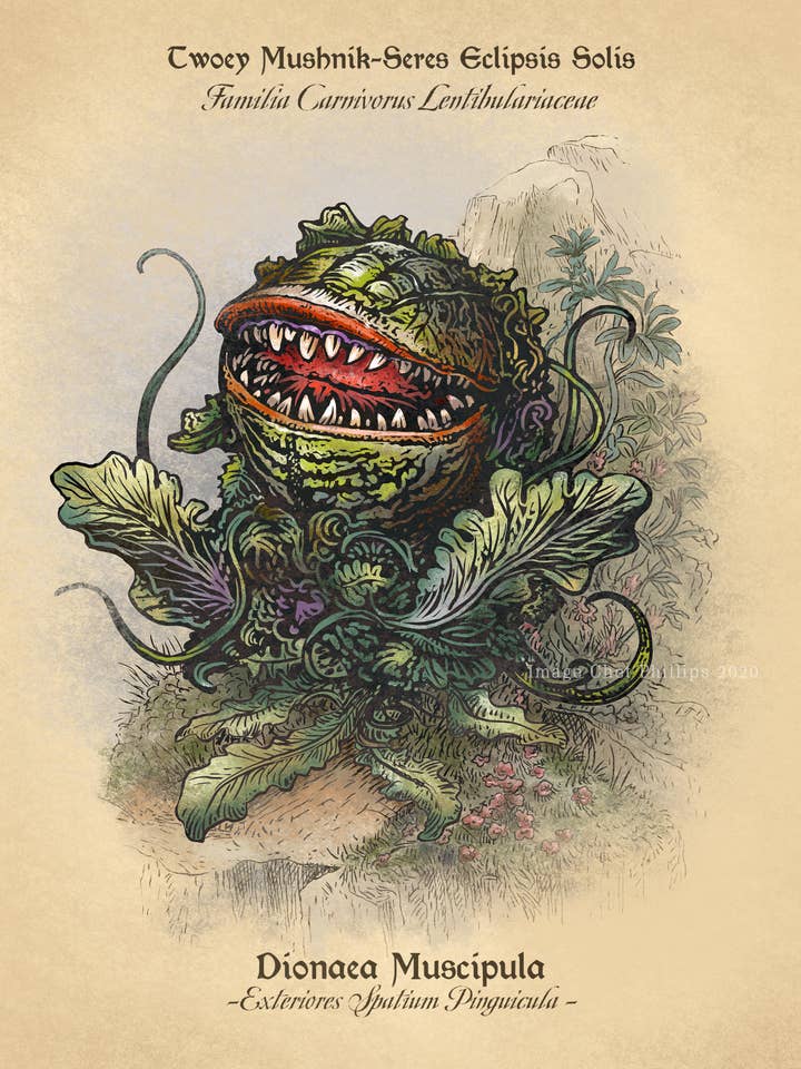 Audrey II Study 8" x 10" print for wholesale by ChetArt