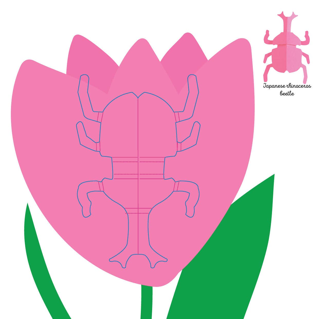 Schiffer Publishing - Wholesale Coloring & Activity Book - Kids & Baby - Insects: Fold & Play3