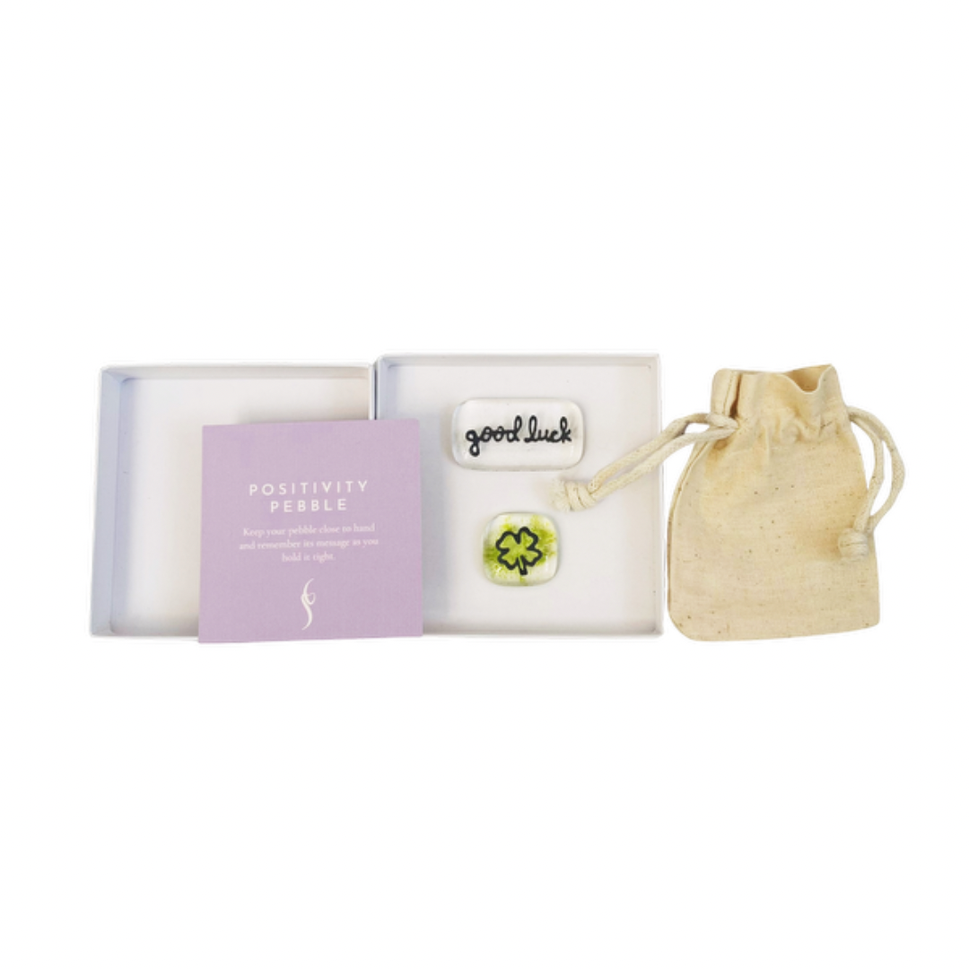 Salvia Glass - Wholesale Keepsake Coin/Token - Good luck Positivity Pebble set - fused glass pocket pebbles2