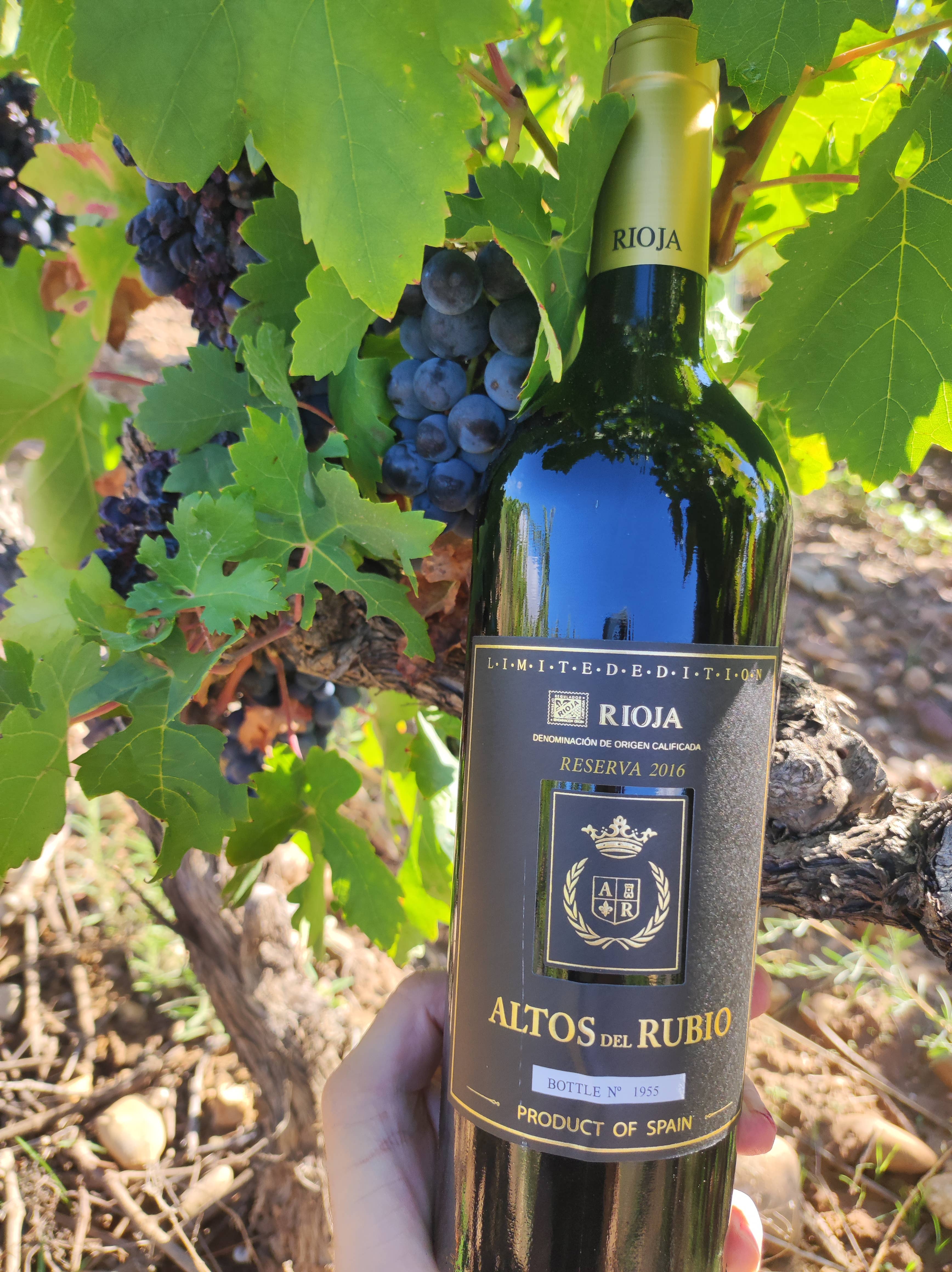 Viñedos y Bodegas Lyng - Wholesale Red Wine - D.O.Ca. Reserva red wine Rioja Altos del Rubio5