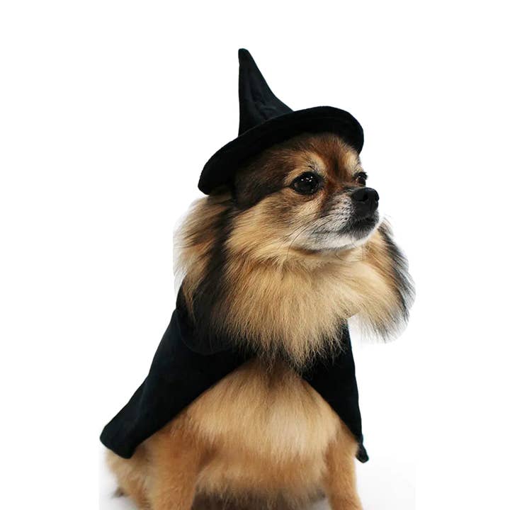 Midlee Halloween Witch Cape and Hat Dog Costume for wholesale by Midlee Designs