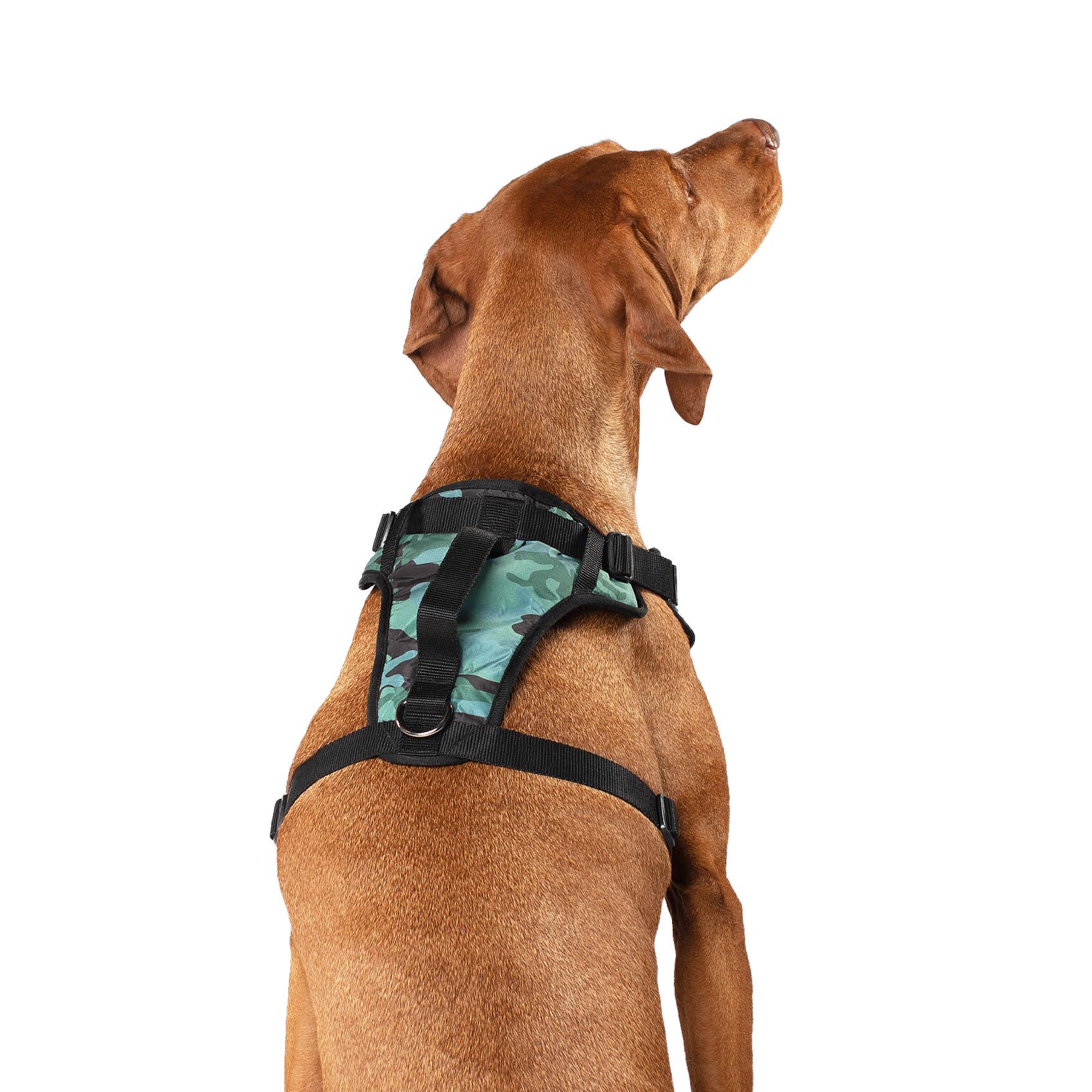 Canada Pooch - Wholesale Pet Harness - Dog - Everything Harness- No-Pull Dog Harness11
