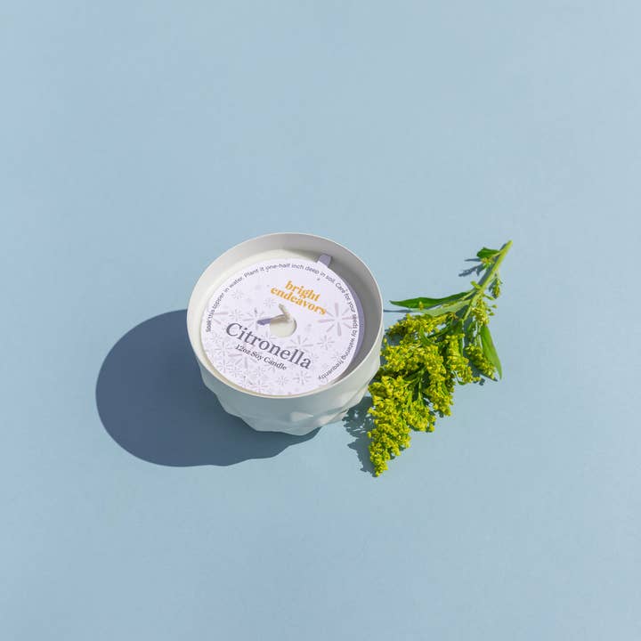 Bright Endeavors - Wholesale Outdoor Candle - Set of 4 - Citronella Candle2