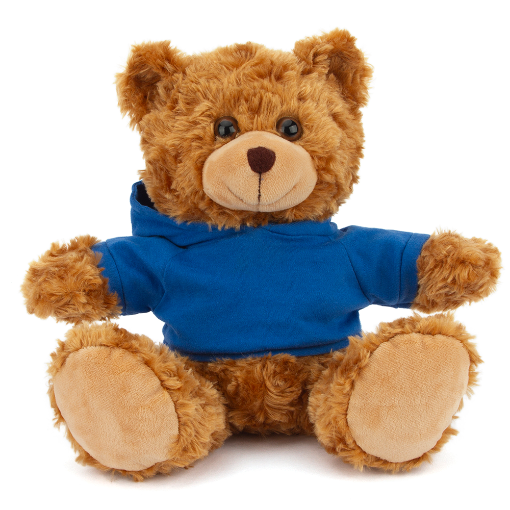 Plushland – wholesale Stuffed/plush toy – Kids & baby – 11" Personalized Teddy Bear in Hoodie | Custom Sitting Bear5