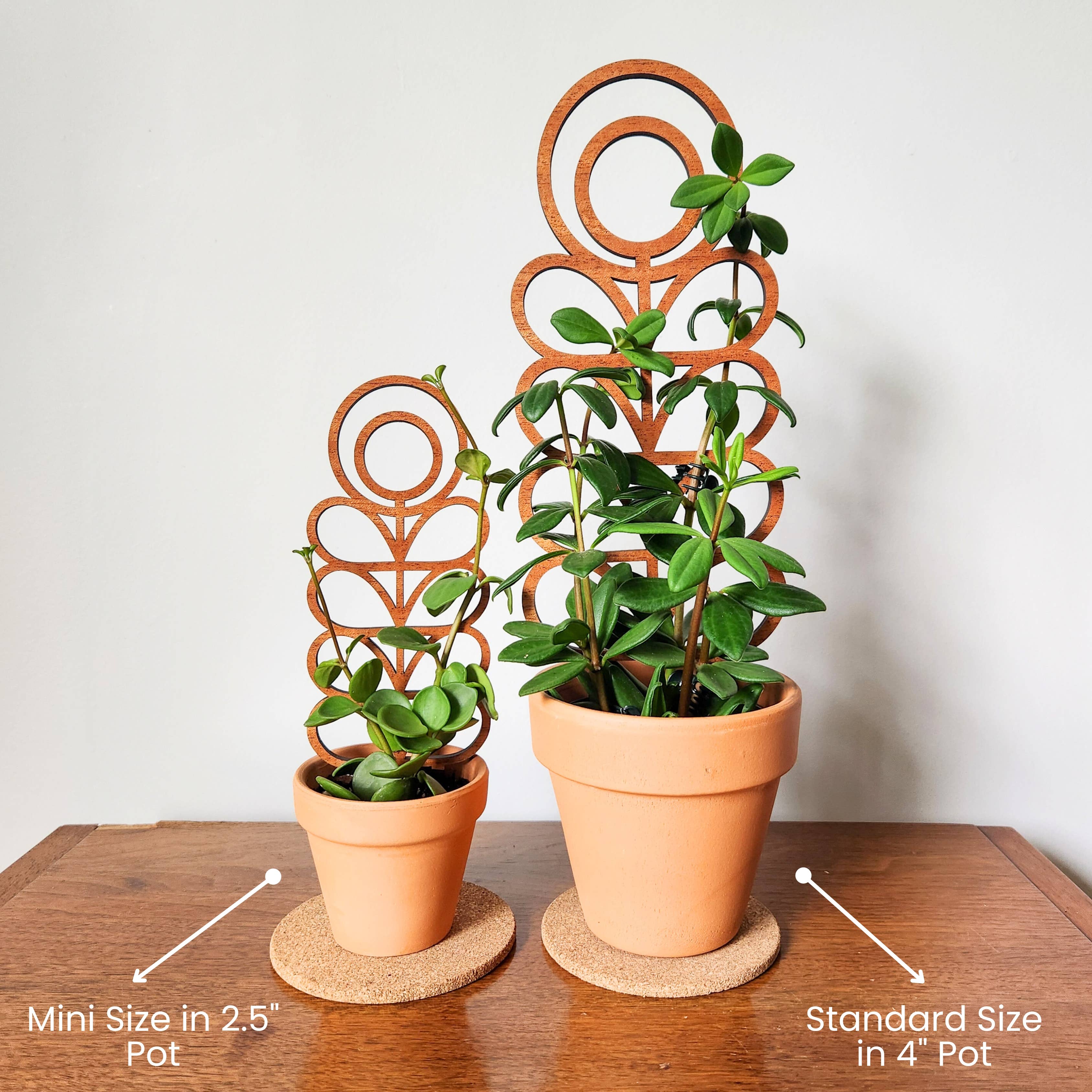 Leaf & Node - Vente Treillis - Treillis pour plantes d'intérieur en bois de style MCM (Zinnia - 2 tailles)2