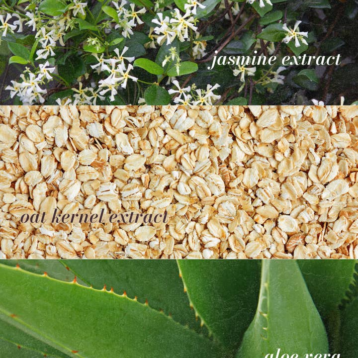 Orijin - Wholesale Facial Cleanser - Jasmine Milk - Gentle Cream-to-Milk Cleanser2