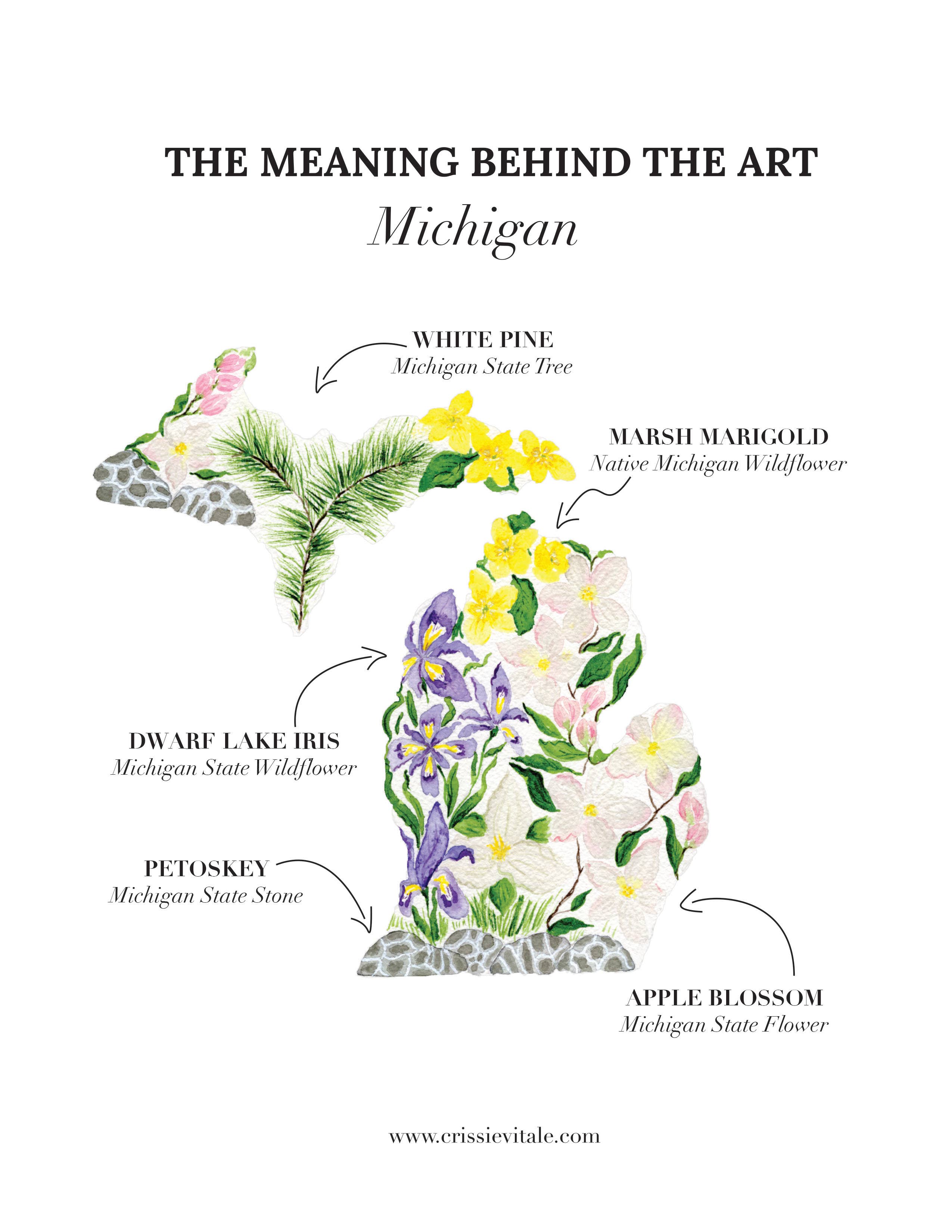 Crissie Vitale Creative - Wholesale Art Print - Michigan State Flowers Fine Art Print2