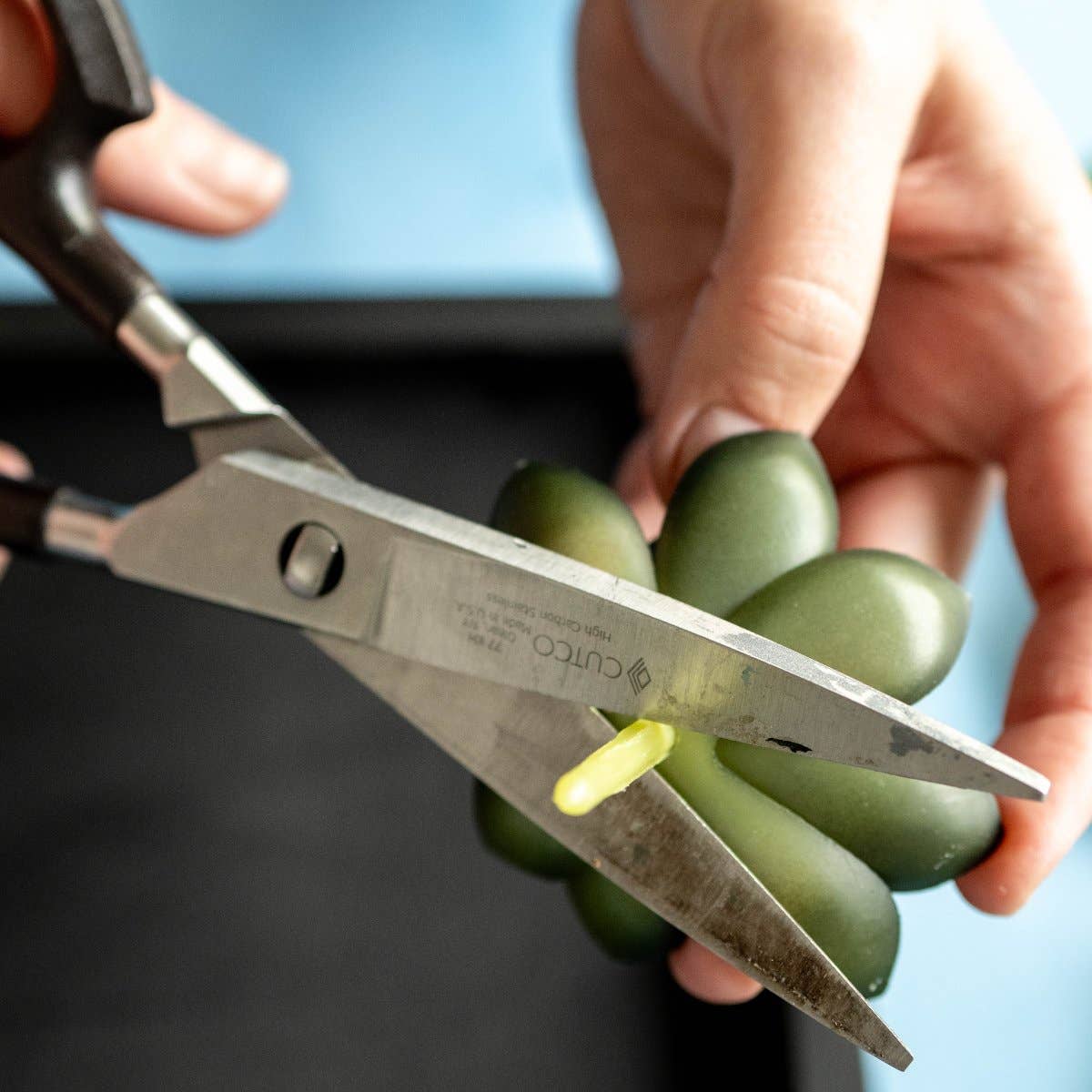 Adults & Crafts - Wholesale Doe-het-zelf-knutselset - Mosswand Doe-Het-Zelf Knutselpakket5