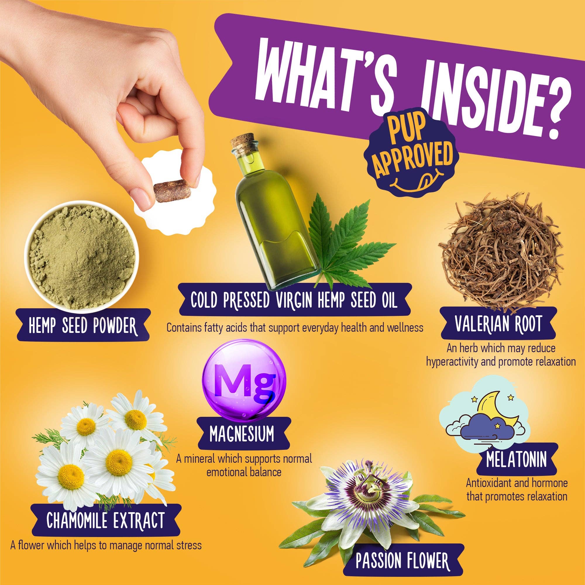 Dogline - Vente Compléments alimentaires – chien - Chews calmants au chanvre pour chiens, pot de 255 g (120 pièces)4