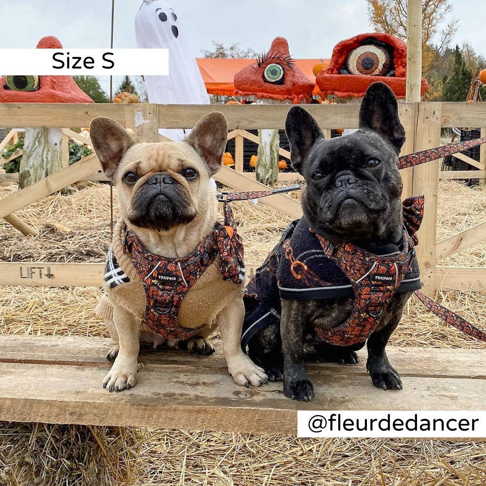 Trufois - Vente Harnais – chien - Harnais Sisu - Chute et Vol9