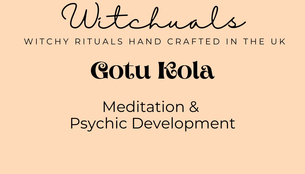 Witchuals - Rituals & Spellwork Apothecary - Wholesale Meditation Supplies - Gotu Kola1