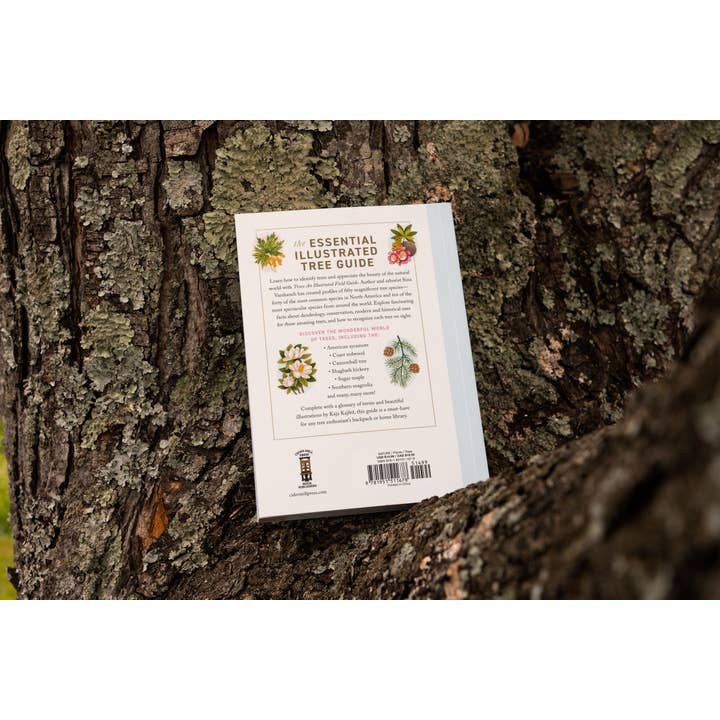 HarperCollins Focus - Wholesale Nature & Outdoors - Trees: An Illustrated Field Guide2