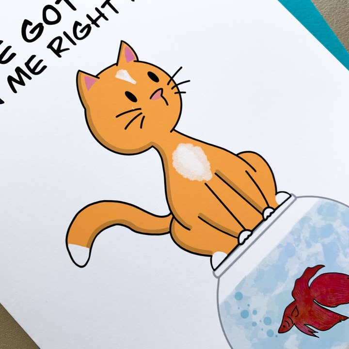 Stone Donut Design, LLC – postal de parabéns por atacado – Você tem que ser o cartão de aniversário do trocadilho Kitten Me2