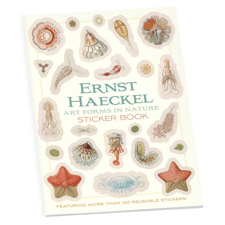 Pomegranate - Wholesale Sticker - Ernst Haeckel: Art Forms in Nature Sticker Book
