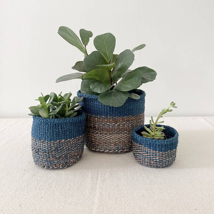 Storage Plant Basket: Ocean Mix for wholesale by Amsha