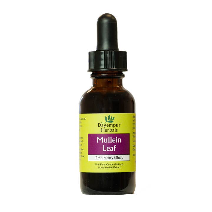 Dayempur Herbals - Wholesale Tincture - Mullein Leaf