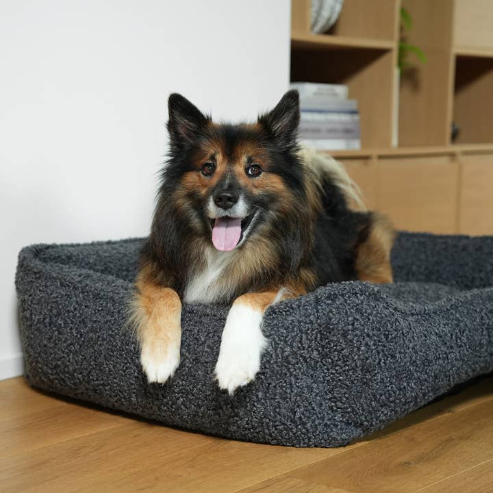 Staey – wholesale Pet bed – Dog – Tora Dog Bed | Storm Curly10