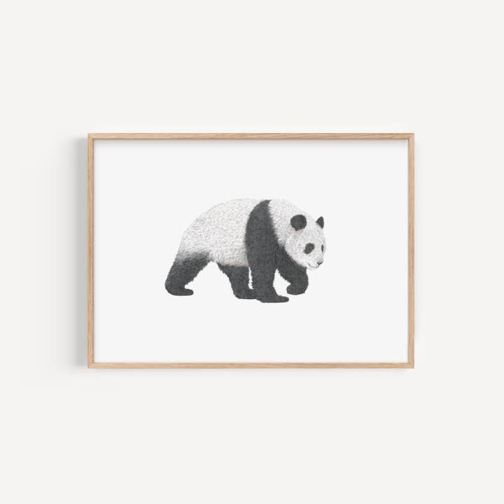 Imprimé panda pour la vente par Lauren Fitton Illustration