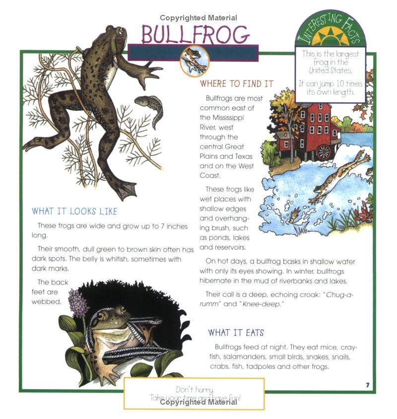 REMOVED BRAND - Wholesale Nature & Outdoors - Frogs, Toads & Turtles: Take Along Guide3