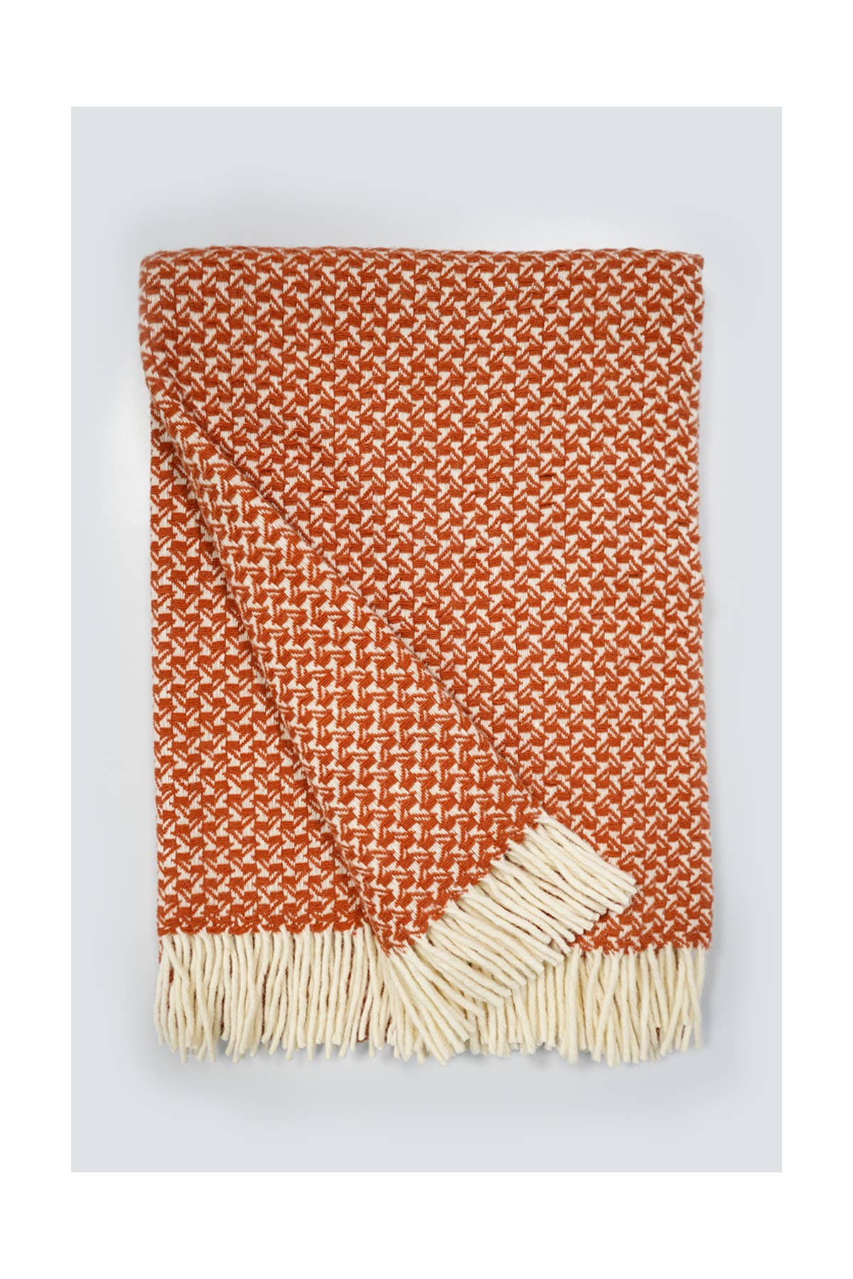 Chicoração - Vendita all'ingrosso Plaid - Coperta Rondine - più colori62