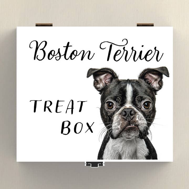 P7071 - Boston Terrier Gruff Pawtraits Dog Photography Print for wholesale by Vivid Squid Wholesale