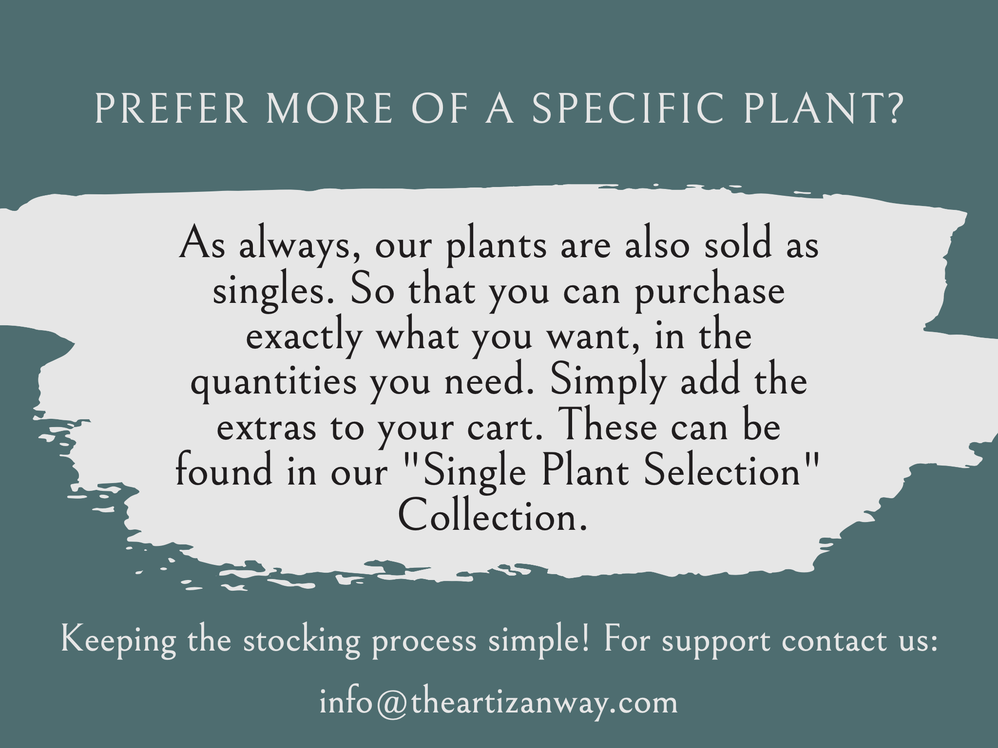 The Artizan Way - Vente Plante - The Essentials Plus - Ensemble de plantes aériennes (50 plantes)6