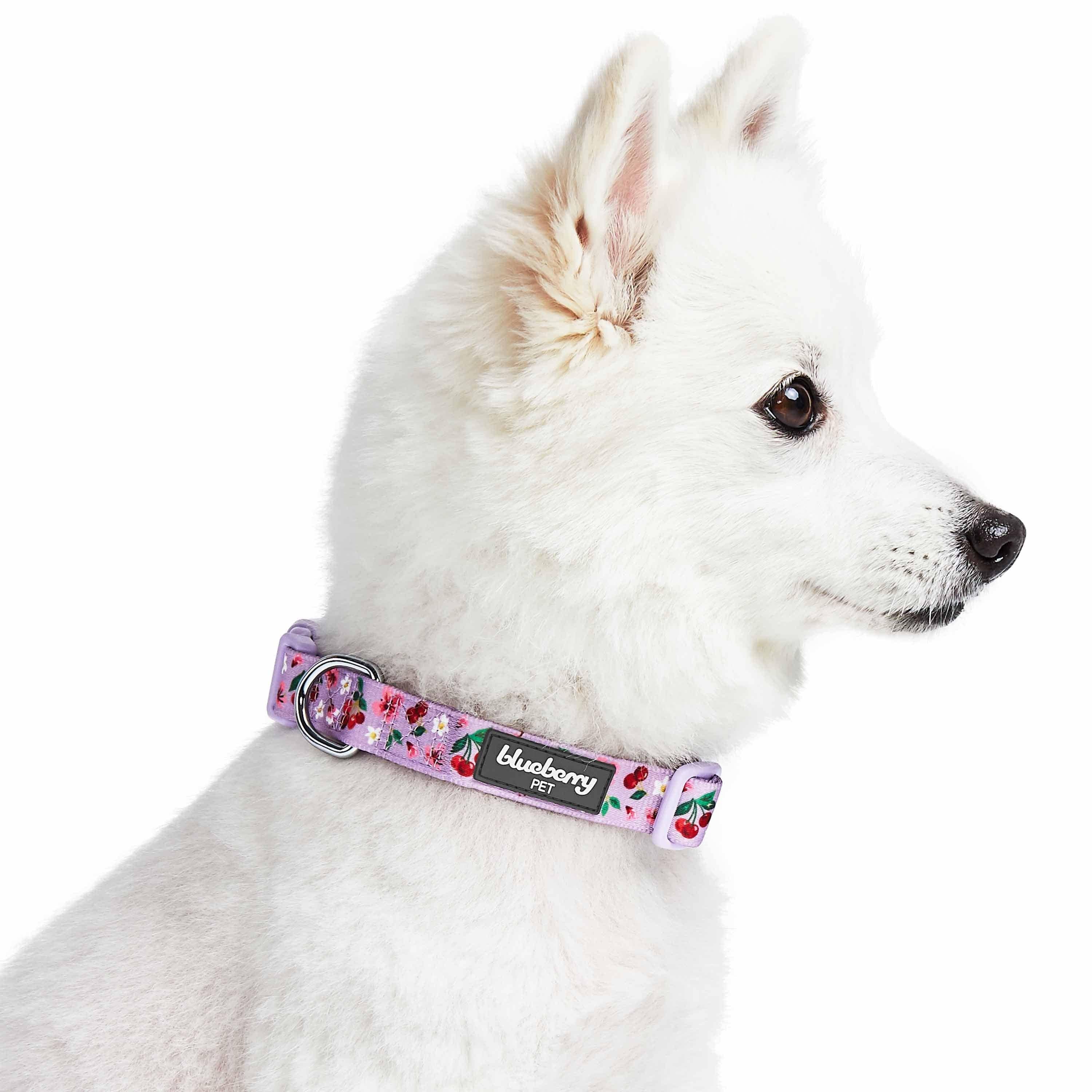Blueberry Pet - Wholesale Pet Collar - Dog - Summer Floral Dog Collar in Pastel Colors for Girl Dogs1