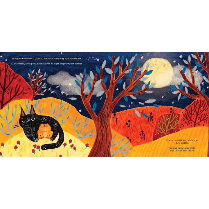 Gibbs Smith - Wholesale Book - Kids - Luna oscura - Lil' Libros