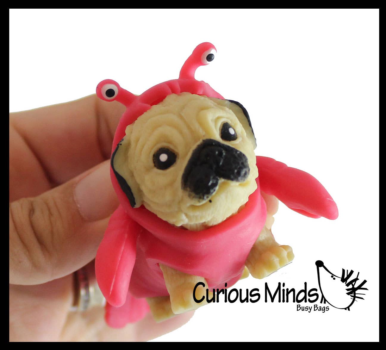 Curious Minds Toys - Wholesale Squishy toy – Kids & Baby - 1 Cute Dog in Costume - Dog Crushed Bead Sand Filled - Doggy9
