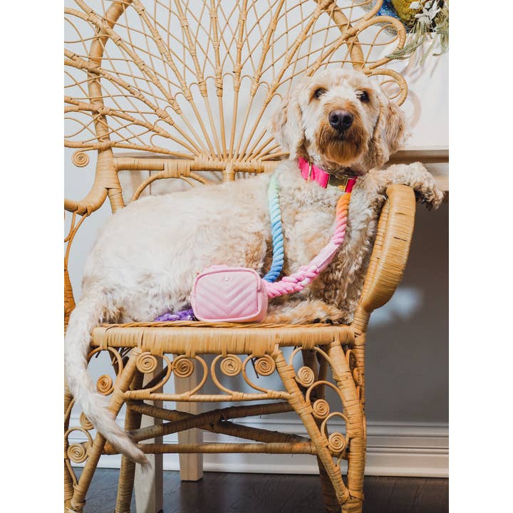 Pink Papyrus | Premium, Durable, & Stylish Dog Products - Wholesale Pet Leash - Dog - Nola Rope Dog Leash | Dog Leash | Rainbow Leash6