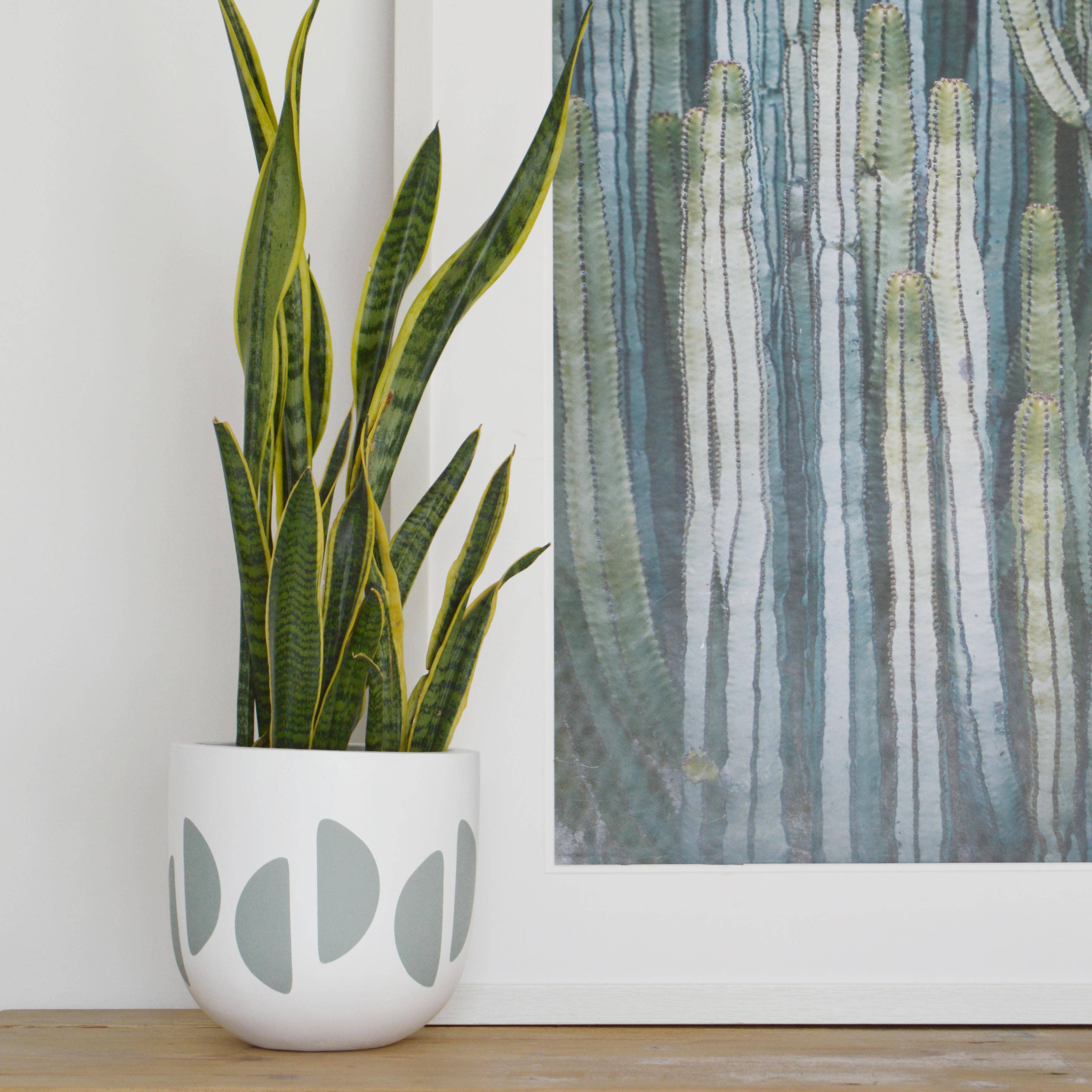 Common House Studio - Vente Pot - POT EN FORME DE CROISSANT | JARDINIÈRE6