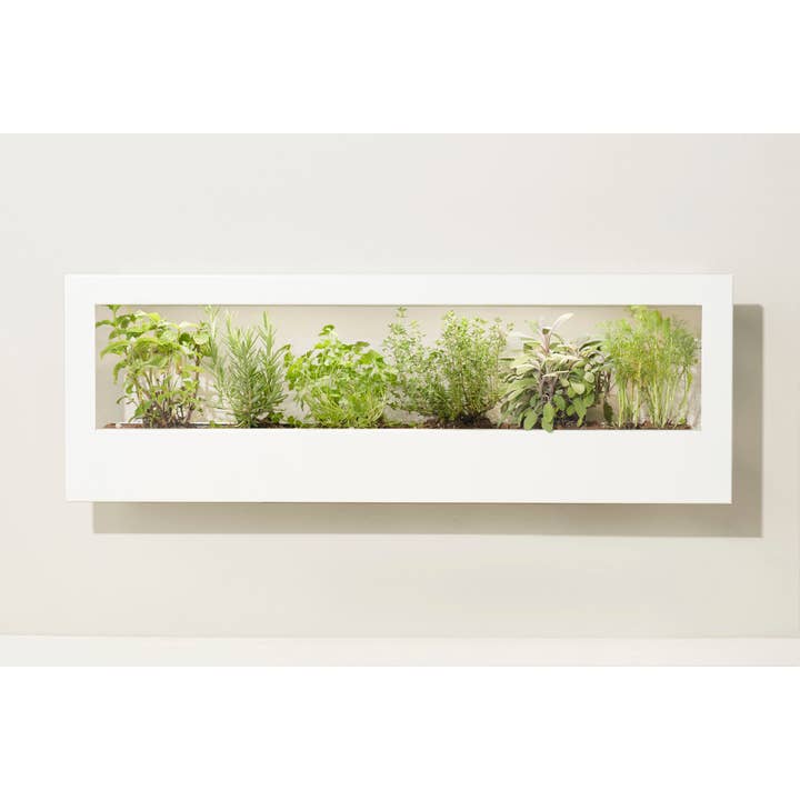 Modern Sprout - Wholesale Wall Planter - Smart LED Light Landscape Growframe