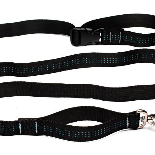 Everyday Leash™ pour la vente par Stunt Puppy