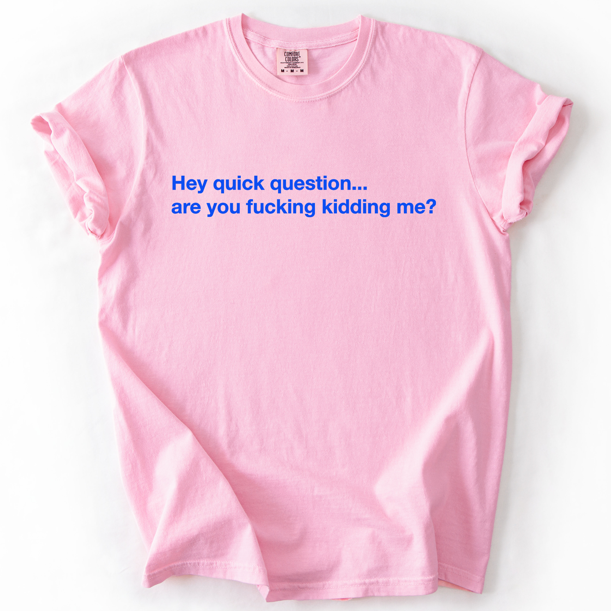 Refinery Number One LLC - Wholesale T-Shirt (Graphic) - Unisex - Hey Quick Question, Are You Kidding Me, Sarcastic T-Shirt1