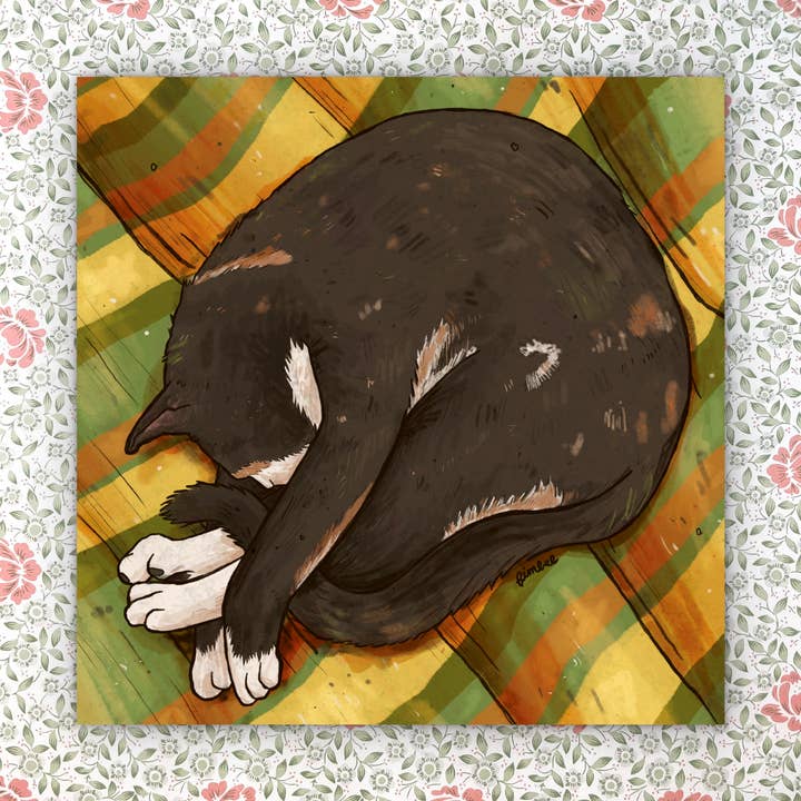 Sleepy Calico Cat, Art Print, 8 x 8 inch, Signed & Numbered for wholesale by Art Fimbel