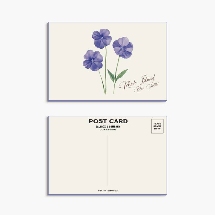 Rhode Island Blauwe Viooltje - Enkelzijdige Ansichtkaart voor wholesale door Saltbox & Company