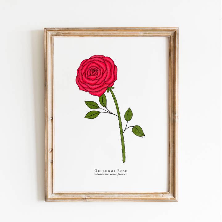 Oklahoma State Flower Print | Oklahoma Rose Print for wholesale by Erika Layne Art