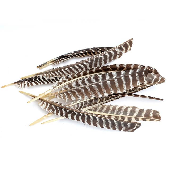 Zucker Feather Products - Vente Plume - Plumes de dindon barrées, aile gauche, 12 pièces, naturelles2