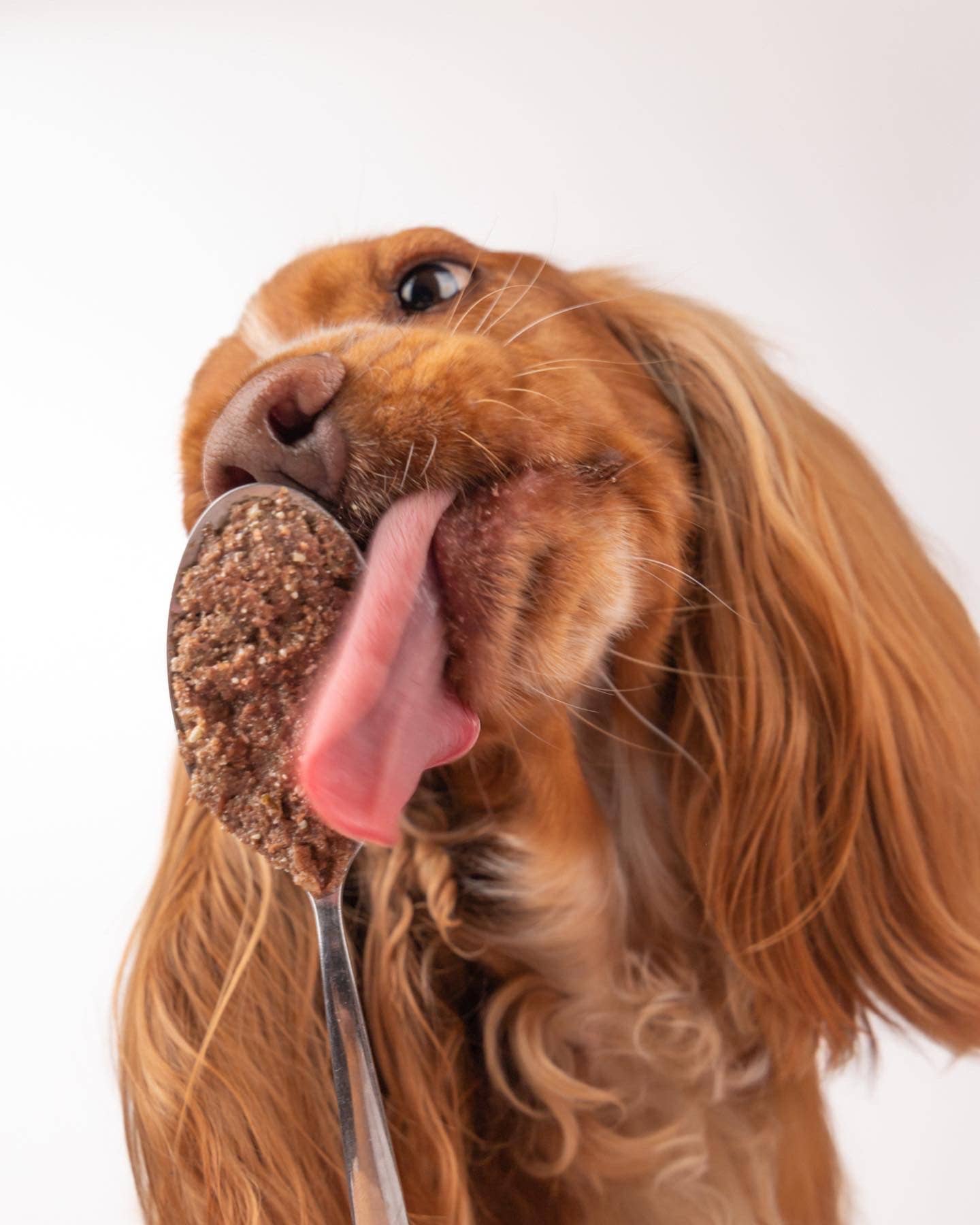 Belpharmed bv: Cooka's Cookies & Sensidog - Wholesale Pet Food - Dog - Real Duck - Natural Humid Dog Food4