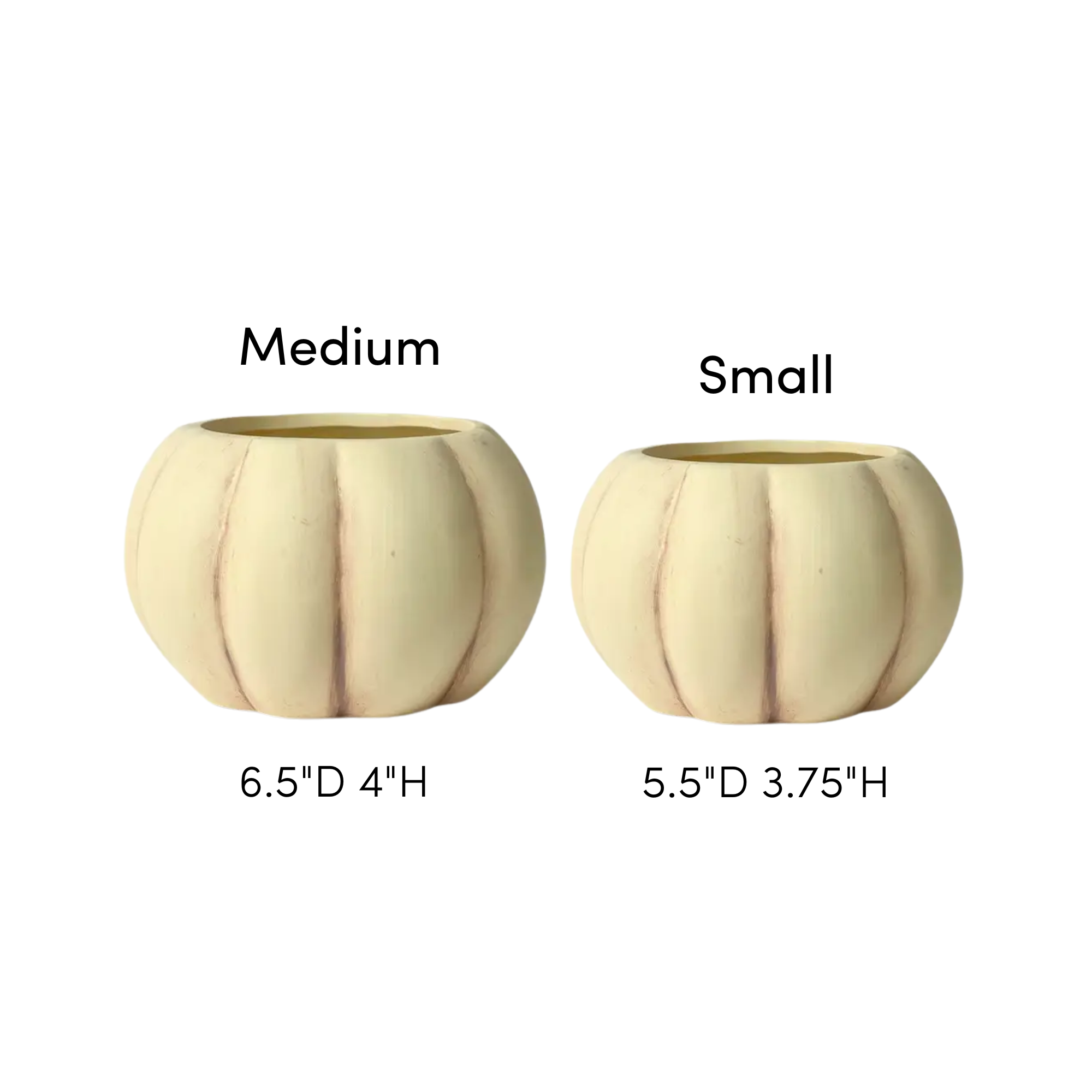 Jacobson - Wholesale Plant Pot - Matte Ceramic Pumpkin Planter - Ivory1