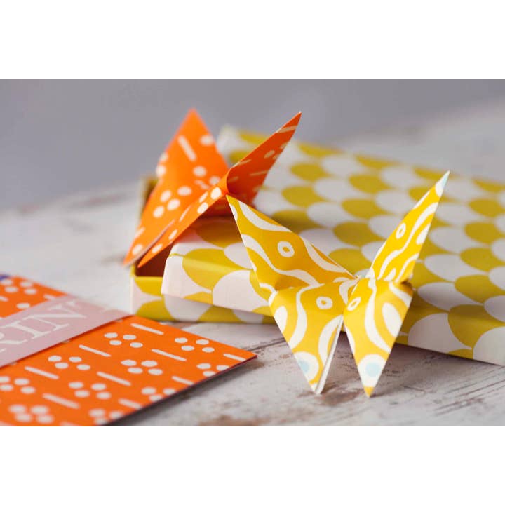 Cambridge Imprint - Wholesale DIY Craft Kit - Origami Cloud of Butterflies Kit