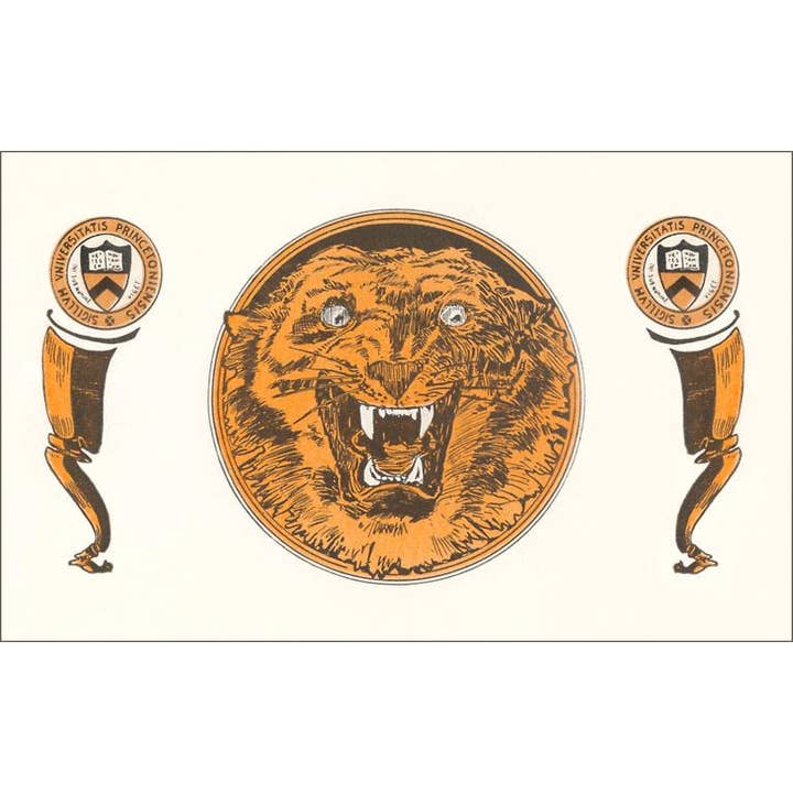 Found Image Press - Vendita all'ingrosso Calamite - Magnete NJ-467 Tigre di Princeton e Bandiere