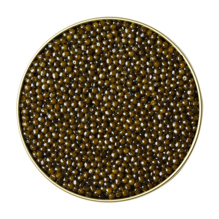 Regiis Ova Kaluga Hybrid Caviar for wholesale by Regiis Ova Caviar