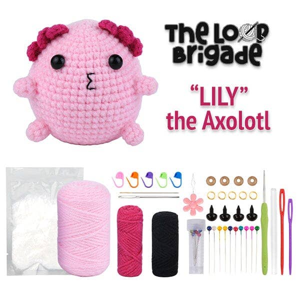 Showcase - Wholesale DIY Craft Kit - The LOOP Brigade: DIY Mini Crochet Kit - Lily the Axolotl2