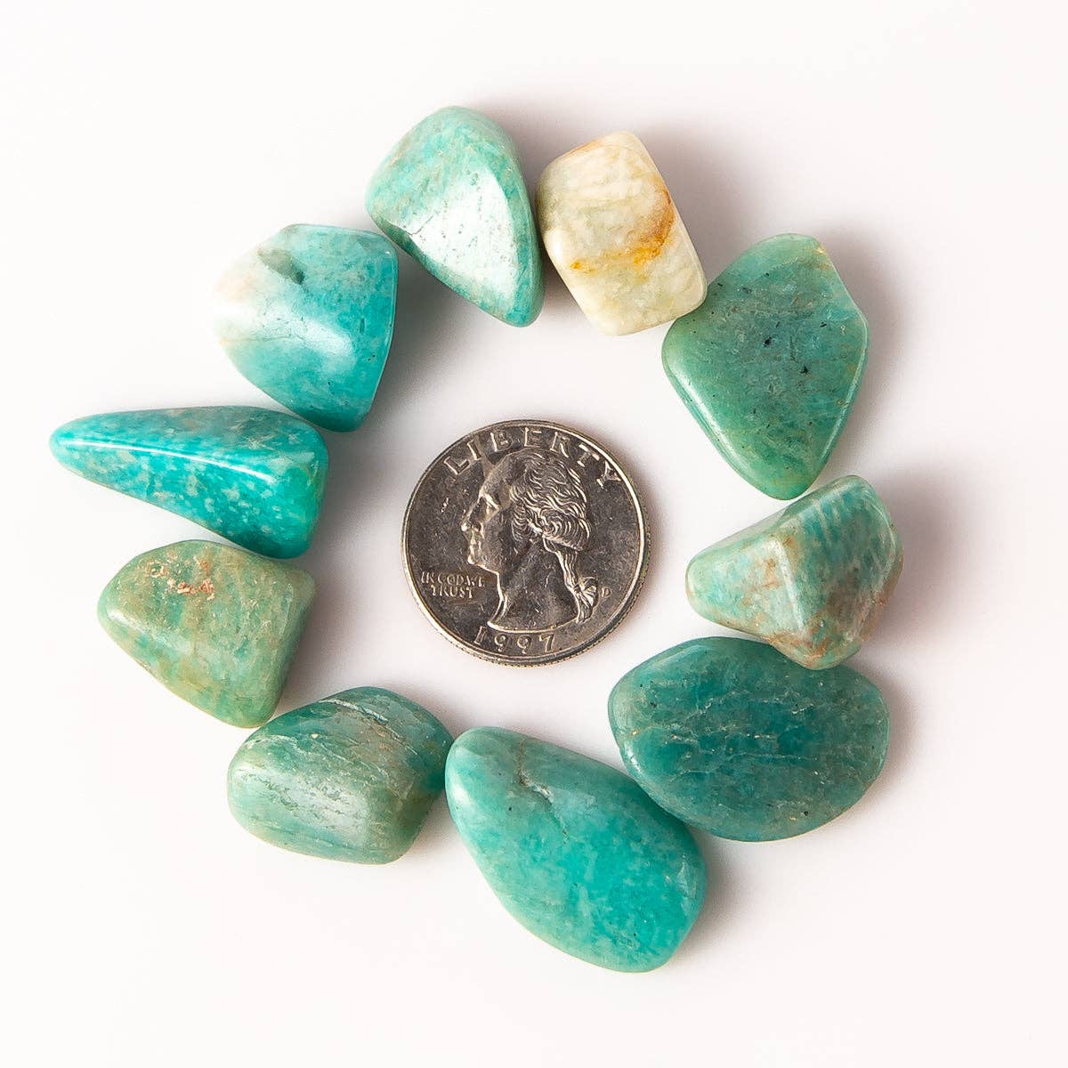 Tree of Life Gems - Wholesale Spiritual Stone/Crystal - Medium Tumbled Amazonite6