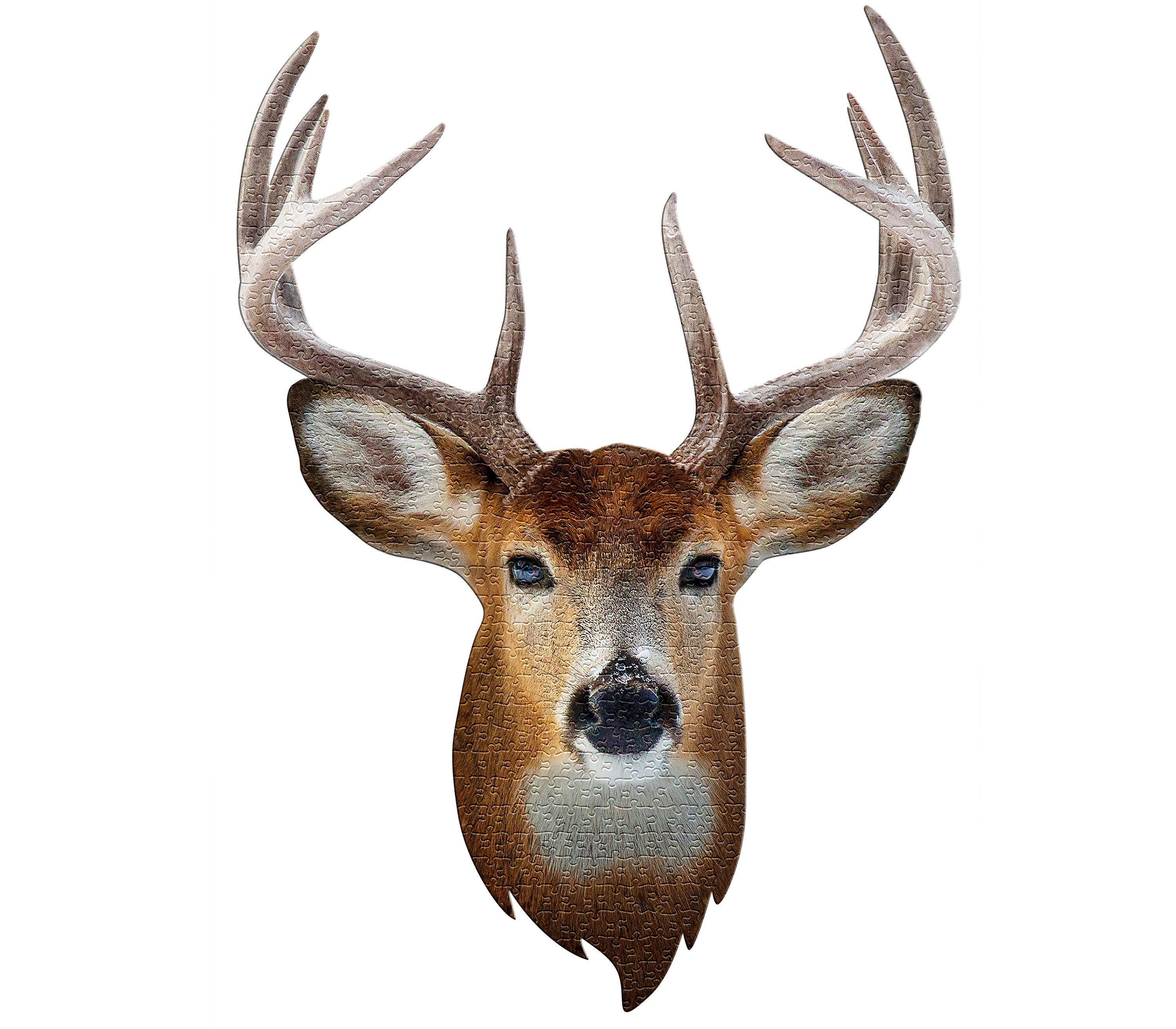 Madd Capp Games & Puzzles - Wholesale Puzzle - Adult - I AM Buck 550 piece jigsaw puzzles - gift5