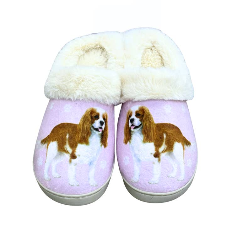 King Charles Cavalier Snuggs Slipper - Bekväm - Djurälskare för wholesale av E&S Pets