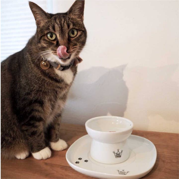 MOON-X USA, INC. - Wholesale Pet food mat – Dog - Necoichi Dining Tray (Single)9