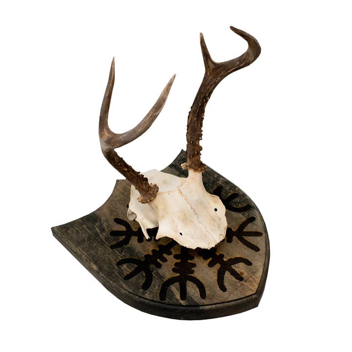 Montagem europeia de Ægishjálmr por atacado de Oreamnos Oddities